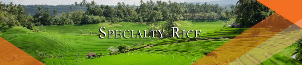 Specialty Rice | Jasmine Food Corporation Sdn. Bhd.